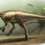 New dinosaur species discovered