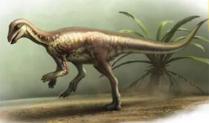 New dinosaur species discovered