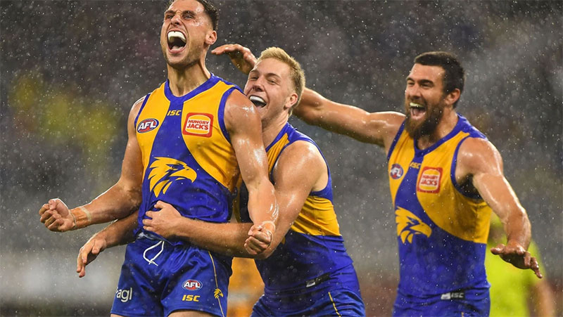 Hawthorn vs West Coast Eagles AFL Round 24 match highlight