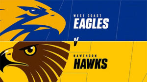 Hawthorn vs West Coast Eagles AFL Round 24 match highlight