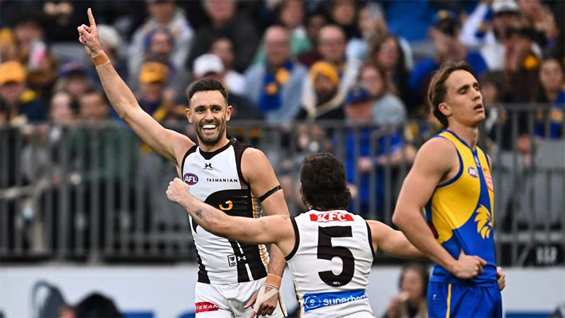 Hawthorn vs West Coast Eagles AFL Round 24 match highlight