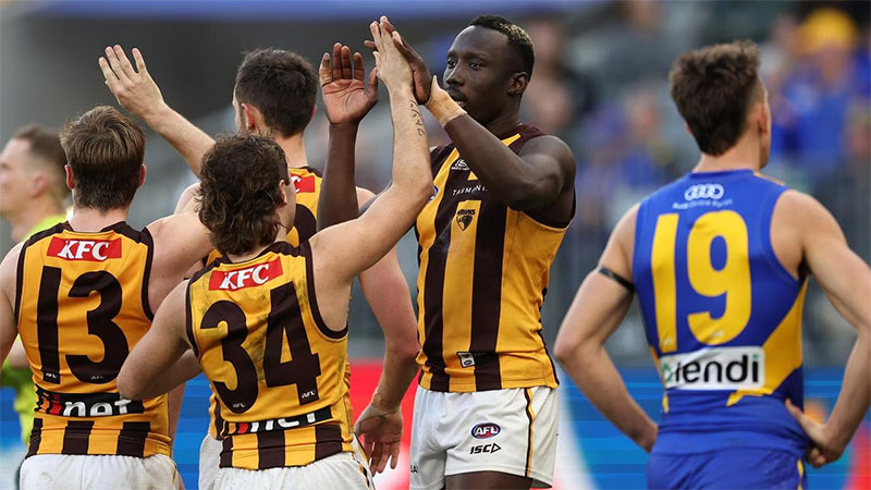 Hawthorn vs West Coast Eagles AFL Round 24 match highlight