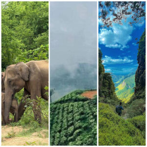 What's the Best 10-Day Itinerary in Sri Lanka?