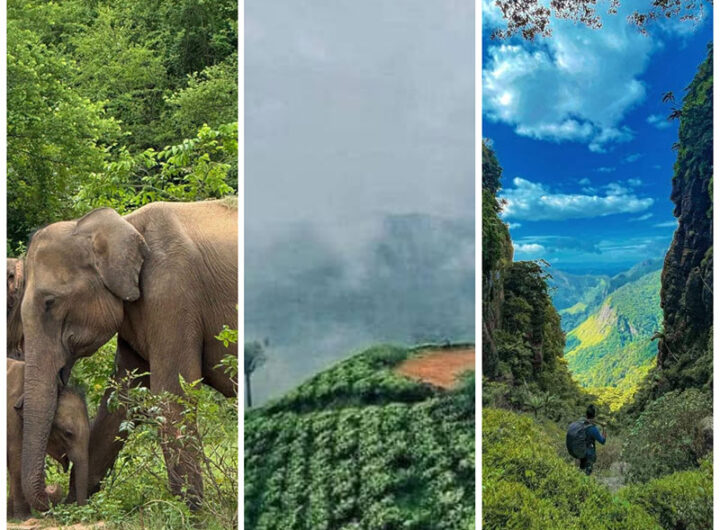 What's the Best 10-Day Itinerary in Sri Lanka?