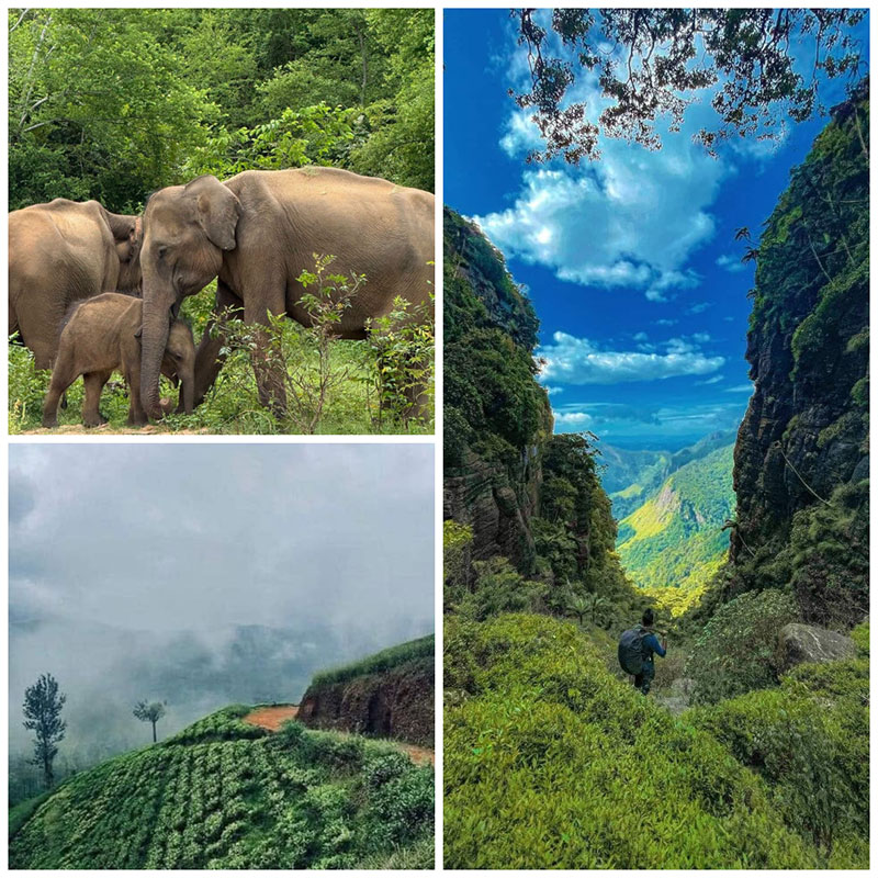 What's the Best 10-Day Itinerary in Sri Lanka?