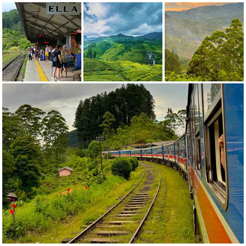 kandy-ella-train-tea-estates