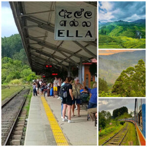kandy-ella-train-tea-estates