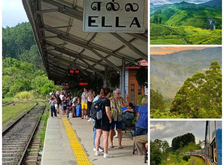 kandy-ella-train-tea-estates