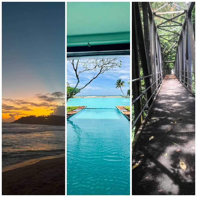 Can You Actually Travel Sri Lanka Without a Driver?