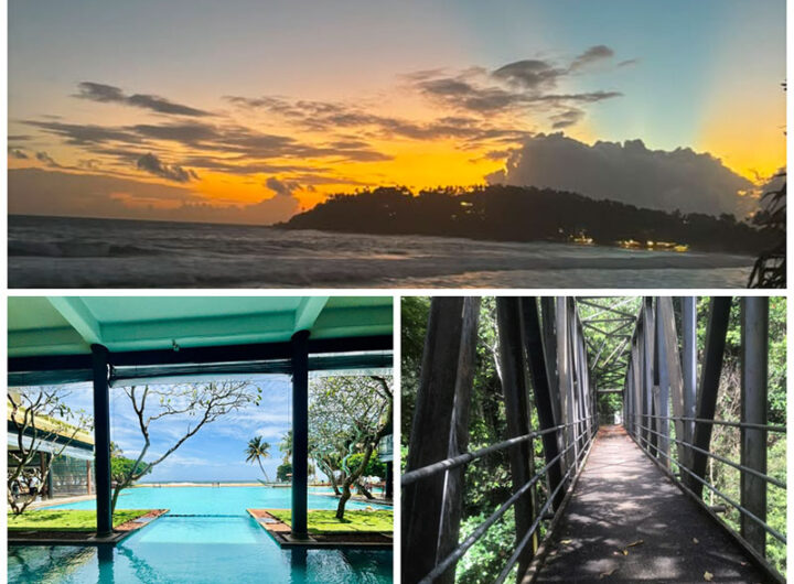 Can You Actually Travel Sri Lanka Without a Driver?