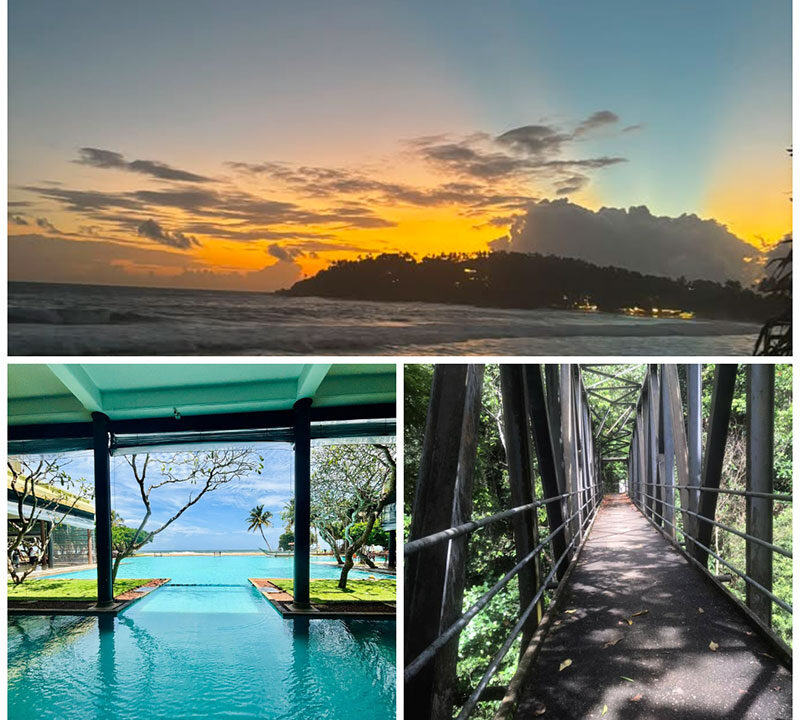 Can You Actually Travel Sri Lanka Without a Driver?