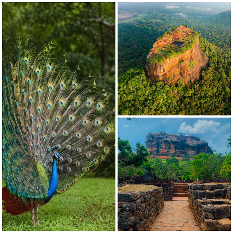 How Many Days Should I Spend in Sigiriya