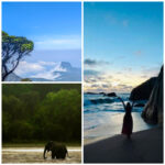 should I hire a private driver in Sri Lanka