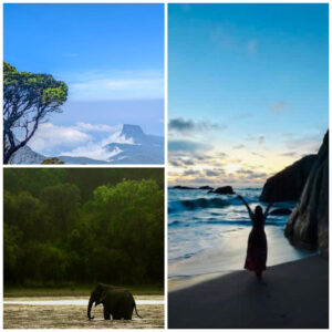 should I hire a private driver in Sri Lanka