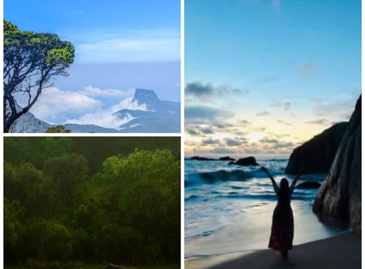 should I hire a private driver in Sri Lanka