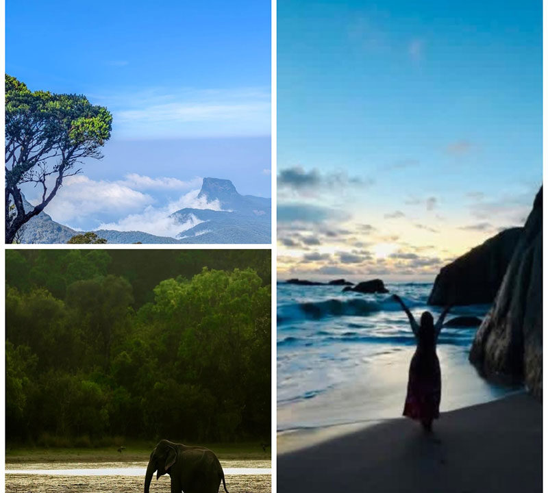 should I hire a private driver in Sri Lanka