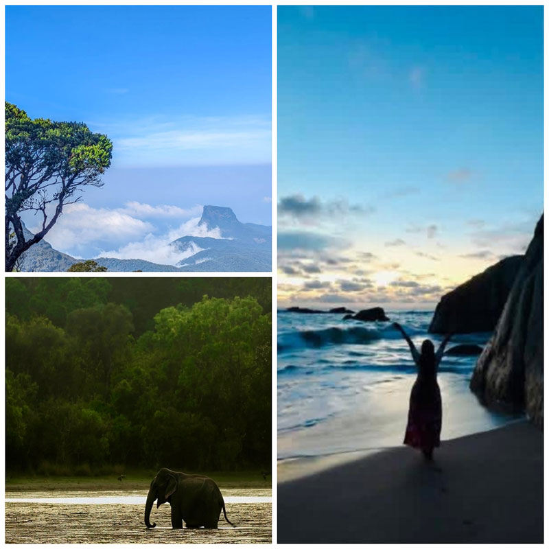 should I hire a private driver in Sri Lanka