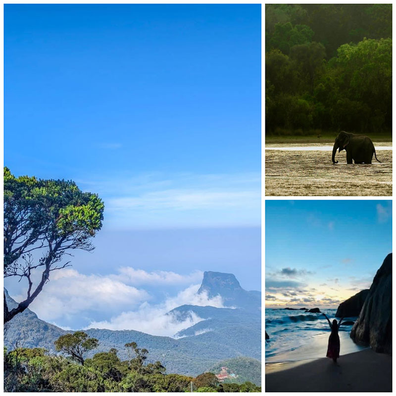 should I hire a private driver in Sri Lanka
