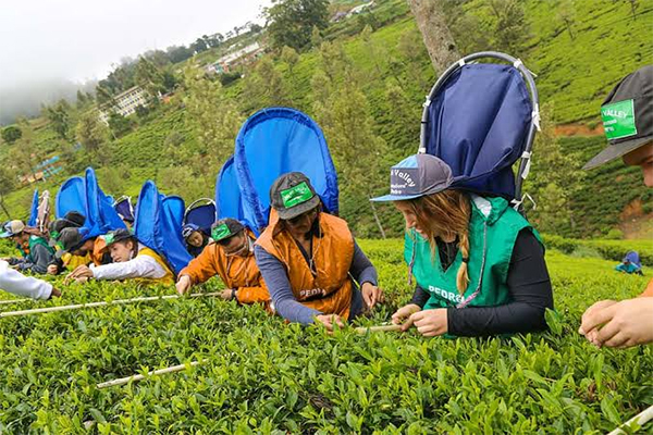 best time to visit sri lanka