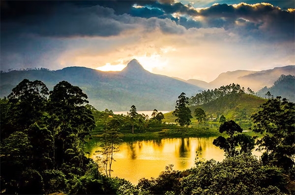 sri lanka travel guide