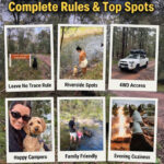 Pet Friendly Free Camping Sites Near Victoria 2026: Complete Rules & Top Spots