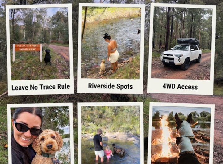 Pet Friendly Free Camping Sites Near Victoria 2026: Complete Rules & Top Spots