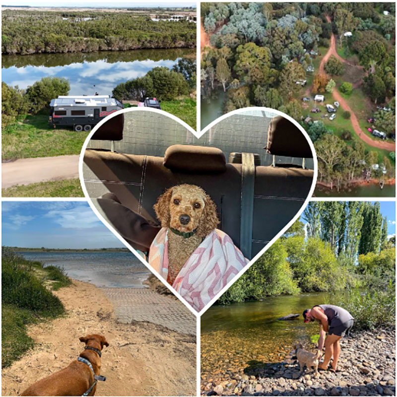 Pet Friendly Free Camping Sites Near Victoria 2026: Complete Rules & Top Spots