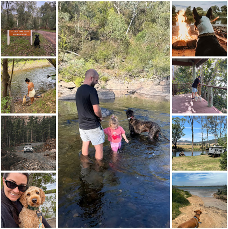 Pet Friendly Free Camping Sites Near Victoria 2026: Complete Rules & Top Spots