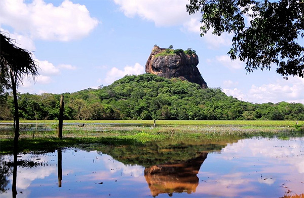 Where to Stay Near Sigiriya: Village vs Habarana vs Dambulla